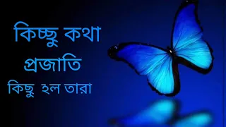 Kichu kotha projapoti kichu holo tara #bengali #song