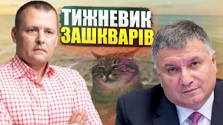 Стаття Путіна, Аваков пішов на відпочинок і блогер кіт Степан
