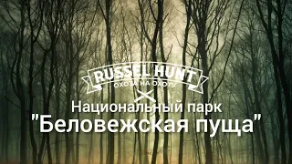 Охота на оленя благородного ночью.Национальный парк "Беловежская пуща"