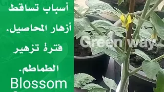 اسباب تؤدي إلى تساقط الأزهار فى فترة التزهير (تزهير المحاصيل🍅 )