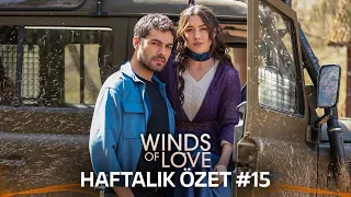 Winds of Love Weekly Summary #15 | Rüzgarlı Tepe Haftalık Kolaj #15