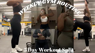 My Weekly Workout Routine: 5 Day Workout Spilt |  What I do to Stay in Shape!