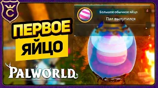 ПЕРВОЕ ВЫЛУПЛЕНИЕ ЯЙЦА! Palworld Прохождение #18