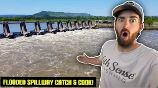 Fishing a MASSIVE FLOODED SPILLWAY to {Catch Clean & Cook} POWERFUL RIVER FISH!!