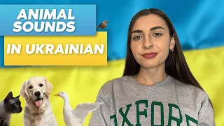 Animal sounds in the Ukrainian language