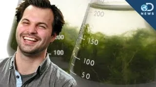 4 Ways Algae is Awesome