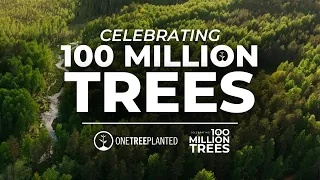 How We Planted 100 Million Trees | One Tree Planted