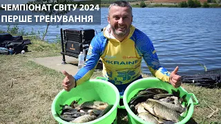 Чемпіонат Світу 2024. Перше тренування. Риболовля онлайн, вигляд від першої особи. Частина 2.