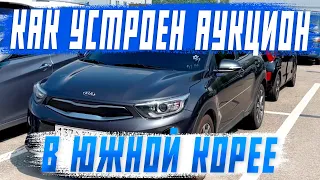 Всё о работе авто аукциона в Южной Корее! От покупки автомобиля до отправки в Россию!