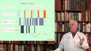 Lecture 9. Sleep Mechanisms