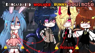 Reincarnated As The WOLVES Only BUNNY Soulmate || GCMM || Gacha Club Movie || [ Original ] || Part 1