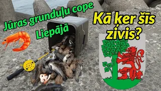 Jūras grunduļu cope Liepājā! Kā noķert jūras grunduļus? Liepāja, Ziemeļu mols! Jūras bullīši.