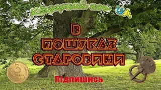 Квазар арм.В пошуках старовини. Цікаві знахідки.Черняхи Металошукач Квазар.Кладоискатели Украина.Коп