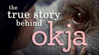 Okja | Understanding the (Im)Morality of Animal Consumption