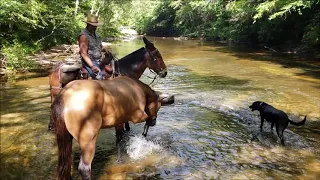 HoneyCreekHorseCamp