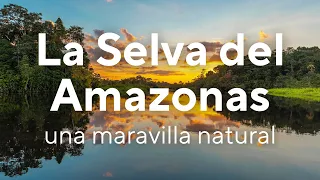 Explorando el Amazonas: Curiosidades que no conocías