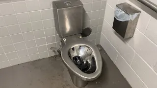 Crazy Rare Dual-Flush Steel Toilet.