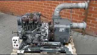 Big Old Lister Engines COLD STARTING UP and COOL SOUND