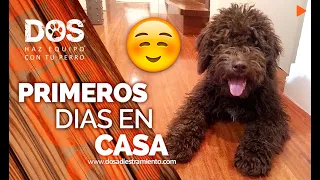 EDUCAR A UN CACHORRO 🐶🏡 | Primeros días en su nueva casa 📝