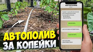 ✅ АВТОПОЛИВ ОГОРОДА ЗА КОПЕЙКИ ЧЕРЕЗ ТЕЛЕФОН СВОИМИ РУКАМИ | КАК ПОЛИВАТЬ УЧАСТОК ГДЕ БЫ ТЫ НЕ БЫЛ!