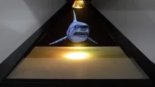 shark hologram