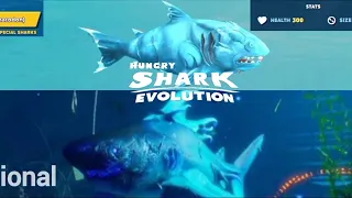 All Hungry Shark in real life. Hungry Shark Evolution. 🦈🐳🐉