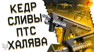 ПП КЕДР СКОРО В ВАРФЕЙС 2023!НОВАЯ ДВОЙНАЯ ИМБА?!СЕКРЕТЫ И СЛИВЫ ПТС WARFACE!ХАЛЯВА ВСЕМ И БОНУСЫ!