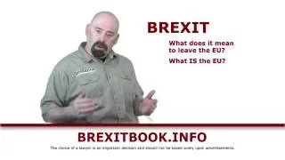 What is Brexit | Brexit Lawsuit? | Brexit Help - Satirical Lawyer Video