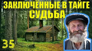 ТАЕЖНЫЙ ТУПИК СТАРОВЕРЫ ЗАКЛЮЧЕННЫЕ В ТАЙГЕ ПРИИСК ДОБЫЧА ЗОЛОТО СУДЬБА ЧЕЛОВЕКА ЖИЗНЬ В ЛЕСУ 35 ЛЕТ