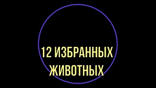 Легенда о 12 избранных животных