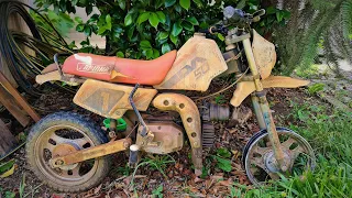 Restoration Of A Mini Motorcycle 1988