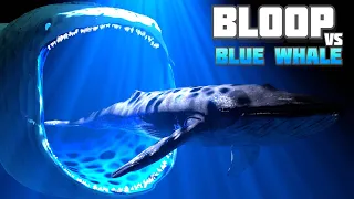 Bloop vs Blue Whale (Sea Animals): The Ultimate Size Comparison 🐋🔍