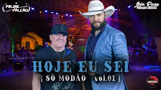 Felipe e Falcão  - Hoje eu Sei (DVD SÓ MODÃO VOL. 01)