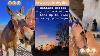 few days in my life | tack up & ride + get coffee + tack store + etc.  | Maite Rae