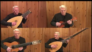 Sultans of Swing (Dire Straits) Daniel Estrem -lutes, guitar & ukulele