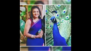 Maddam sir HASEENA MALIK 🆚 PEACOCK