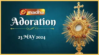 🔴 LIVE 23 May  Adoration 11:00 AM | Madha TV
