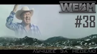 Dank WebM Compilation #38