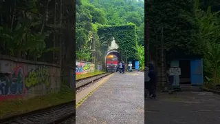 Заброшенная ж/д станция Псырцха в Новом Афоне. Поезд МОСКВА - СУХУМ 🚆#абхазия #абхазияновыйафон