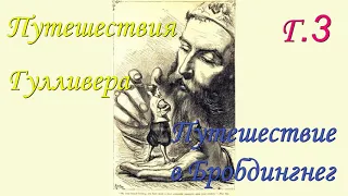 Дж. Свифт. Путешествия Гулливера. Путешествие в Бробдингнег. Г. 3.