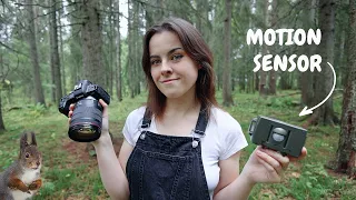 I left my camera in the forest and this is what happened...