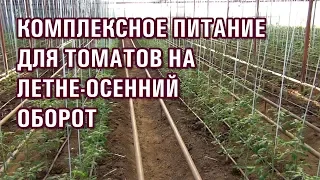 КОМПЛЕКСНОЕ ПИТАНИЕ ДЛЯ ТОМАТА НА ЛЕТНЕ-ОСЕННИЙ ОБОРОТ (06-08-2019)