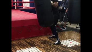 DANIEL DUBOIS WORKING THE PUNCHBAG