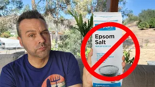 Why I Don't Use EPSOM SALTS in the Garden!