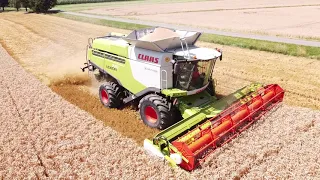 Claas Lexion 770 - Getreideernte - Drohnenflug