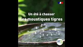 Découvrez notre Check-list anti Moustique Tigre - ARS Nouvelle Aquitaine