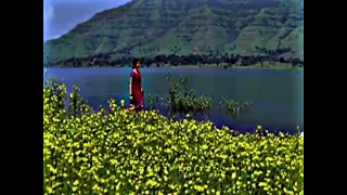 Thulasi sediya aralipoova💞Seval movie love Whatsapp status 💞 Bharath💞Poonam Bajwa 💞@premjieditz