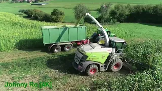 Maishäckseln 2023 Teil 12, LU B.Braunger mit Claas Jaguar 980, Oberland Service, Fendt [4K]