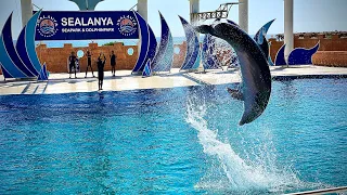 Дельфинарий в Турции. Плавание с дельфинами в SEALANYA DOLPHINPARK. Лохотрон для туристов!