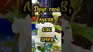 |🎀МОИМ ДРУЗЬЯМ | Ярких событий, счастливых моментов| Стихи о дружбе|